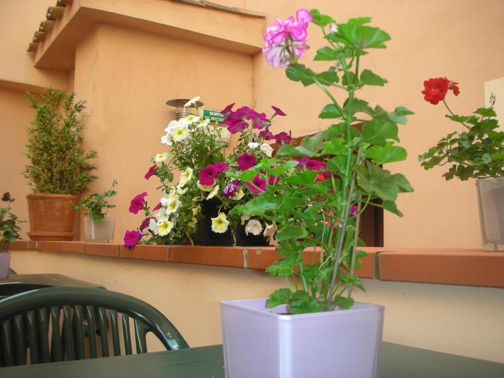 Castellane Hotel Toulouse